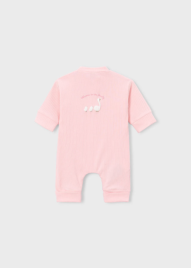 1726 Mayoral All in One